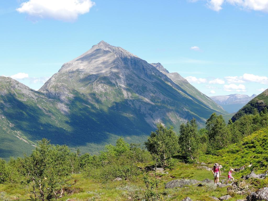 Villa Tindelykke à Isfjorden Extérieur photo
